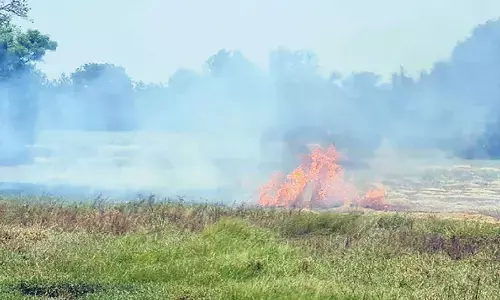 Warangal sees continued stubble burning despite government crackdown