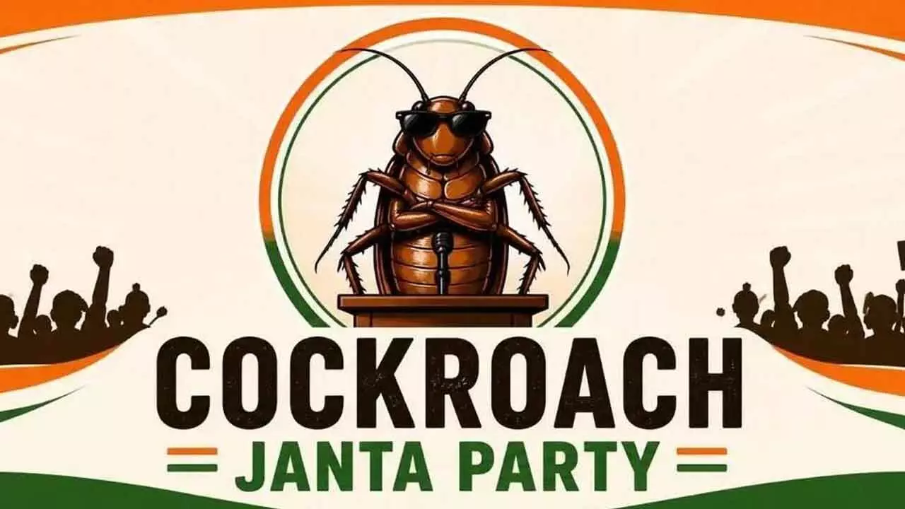 Of cockroaches, Gen Z and political kitchens Of cockroaches, Gen Z and political kitchens