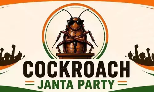 Of cockroaches, Gen Z and political kitchens