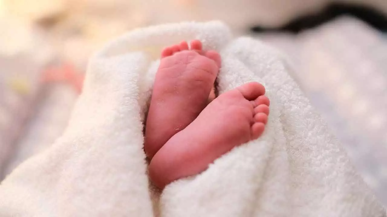 Newborn baby boy allegedly sold for Rs 1.7 lakh Newborn baby boy allegedly sold for Rs 1.7 lakh
