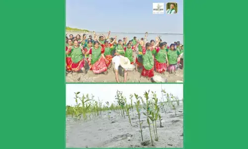 Green India Challenge sees success in Sundarbans