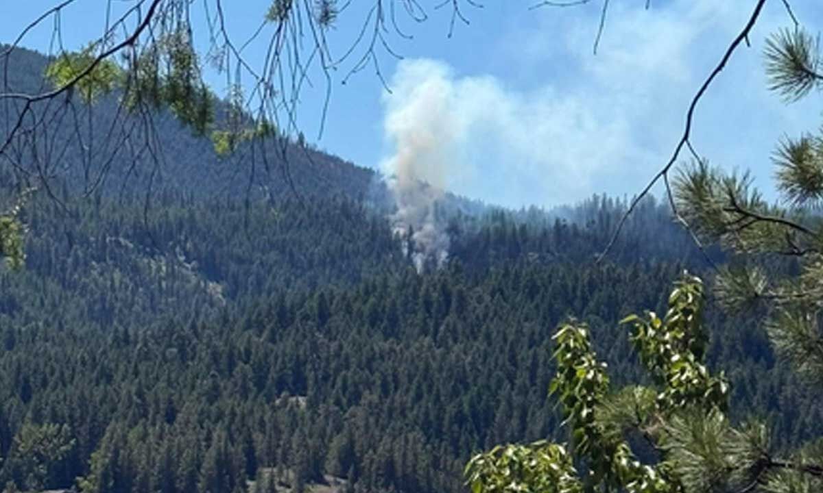 US fighter jet crashes in Washington state: Report
