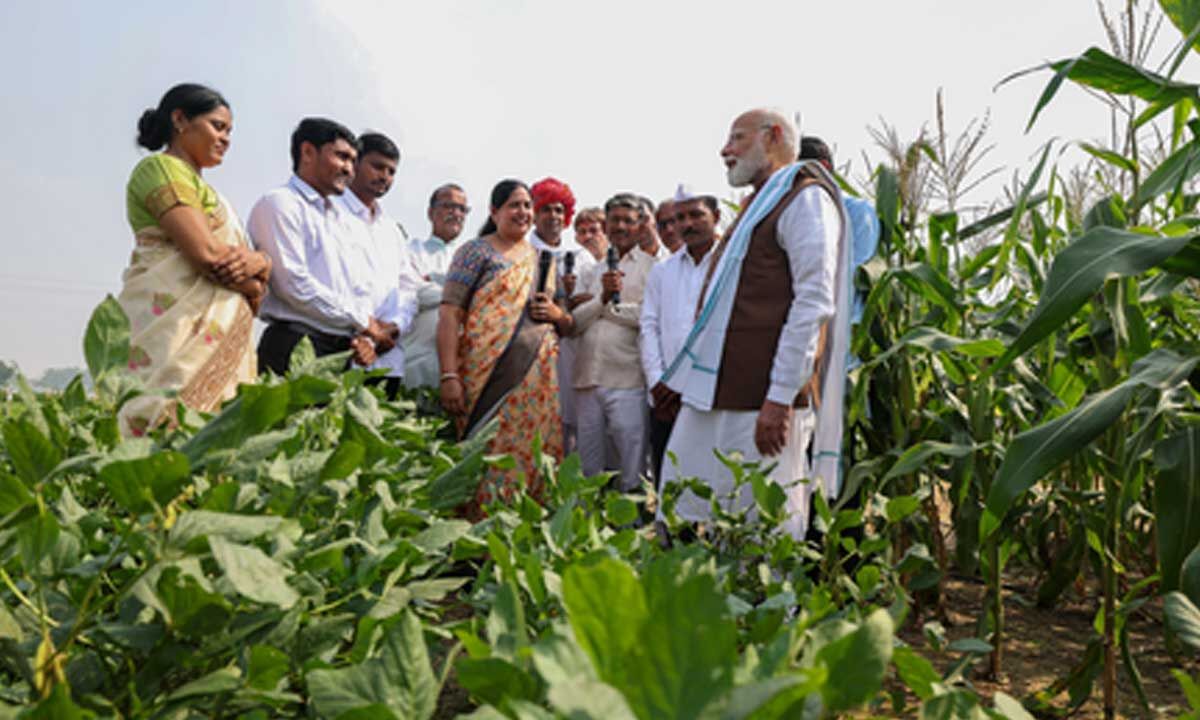 India’s solar-powered agriculture model a scalable blueprint for Africa: PM Modi