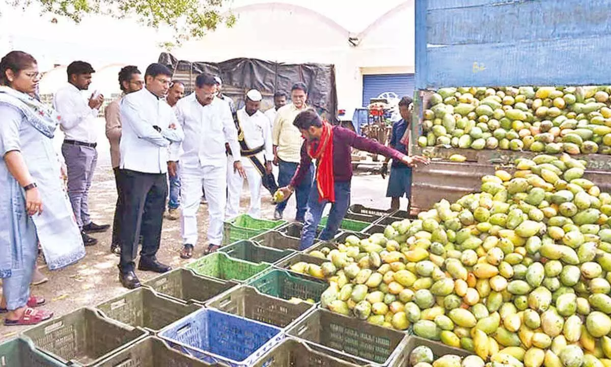 Govt ensures minimum Rs 6 per kg for Totapuri mangoes, says Collector