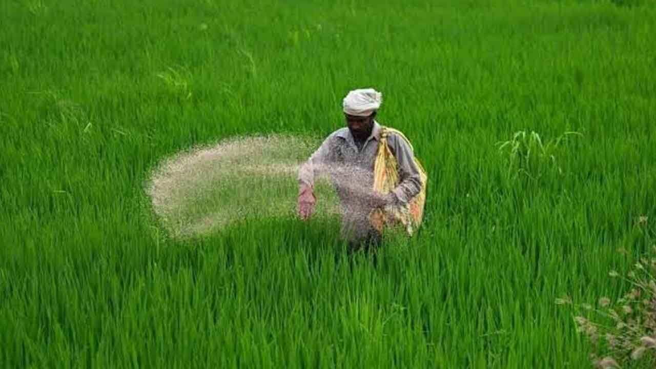 Agriculture department cracks down on fertiliser price violations