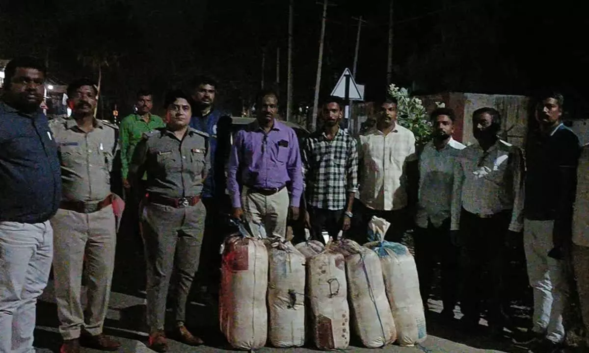 Mandya police seize 111 kg ganja worth crores, Andhra Pradesh man arrested