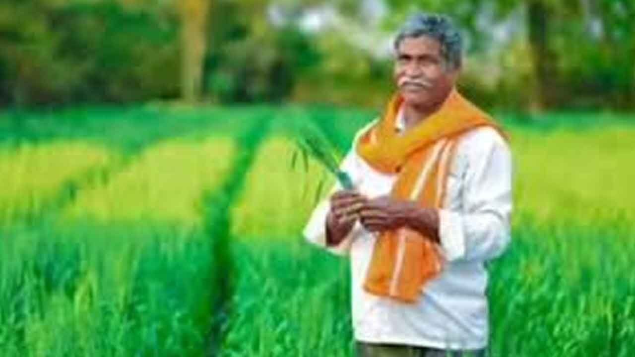 PM-KISAN SCHEME: PM to transfer Rs 18,880 cr to farmers tomorrow