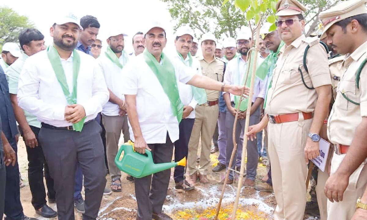 Large-scale plantation essential to tackle pollution, says Jupally