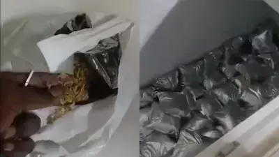 Food Court Sealed After Stale Biryani and Rat Burrows Found