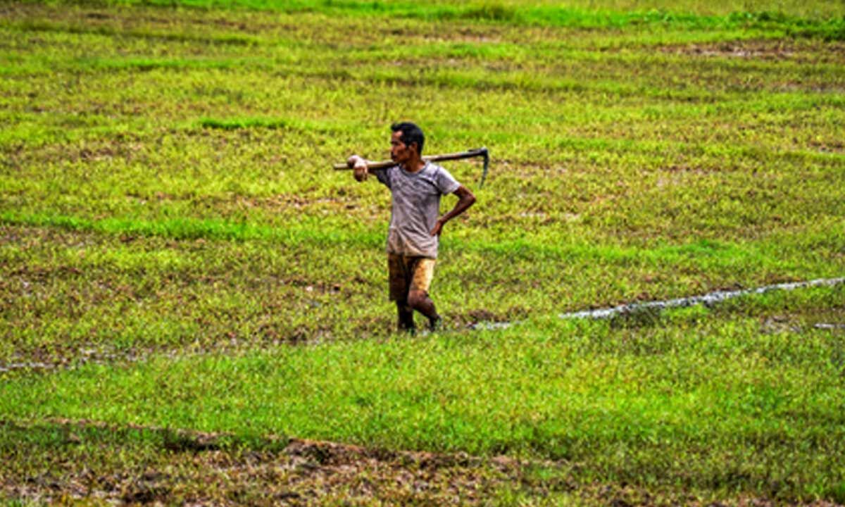 India's economy now less vulnerable to monsoon shocks: Report