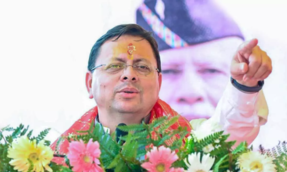  Foto zu 'Sin amounting to cow slaughter': U'khand CM Dhami assures strict 