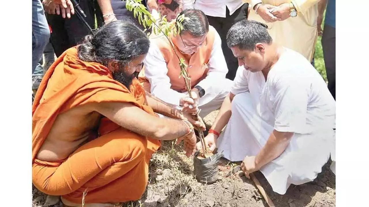 Herbal World Himalaya Initiative Launched to Boost Ayurveda