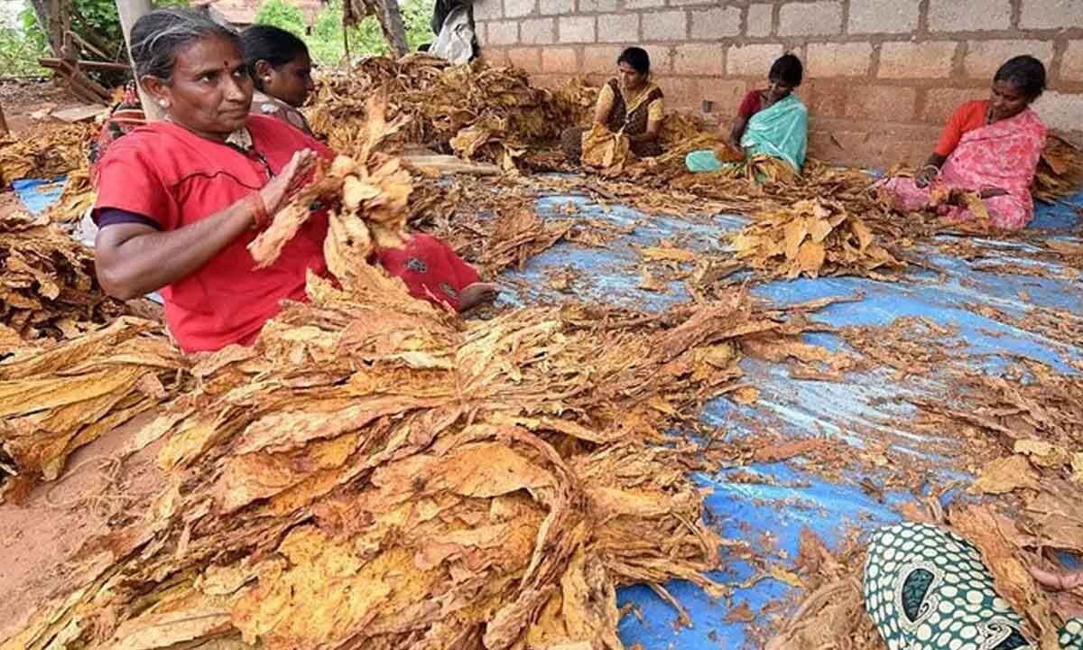 Centre’s support for aqua, tobacco sectors sought