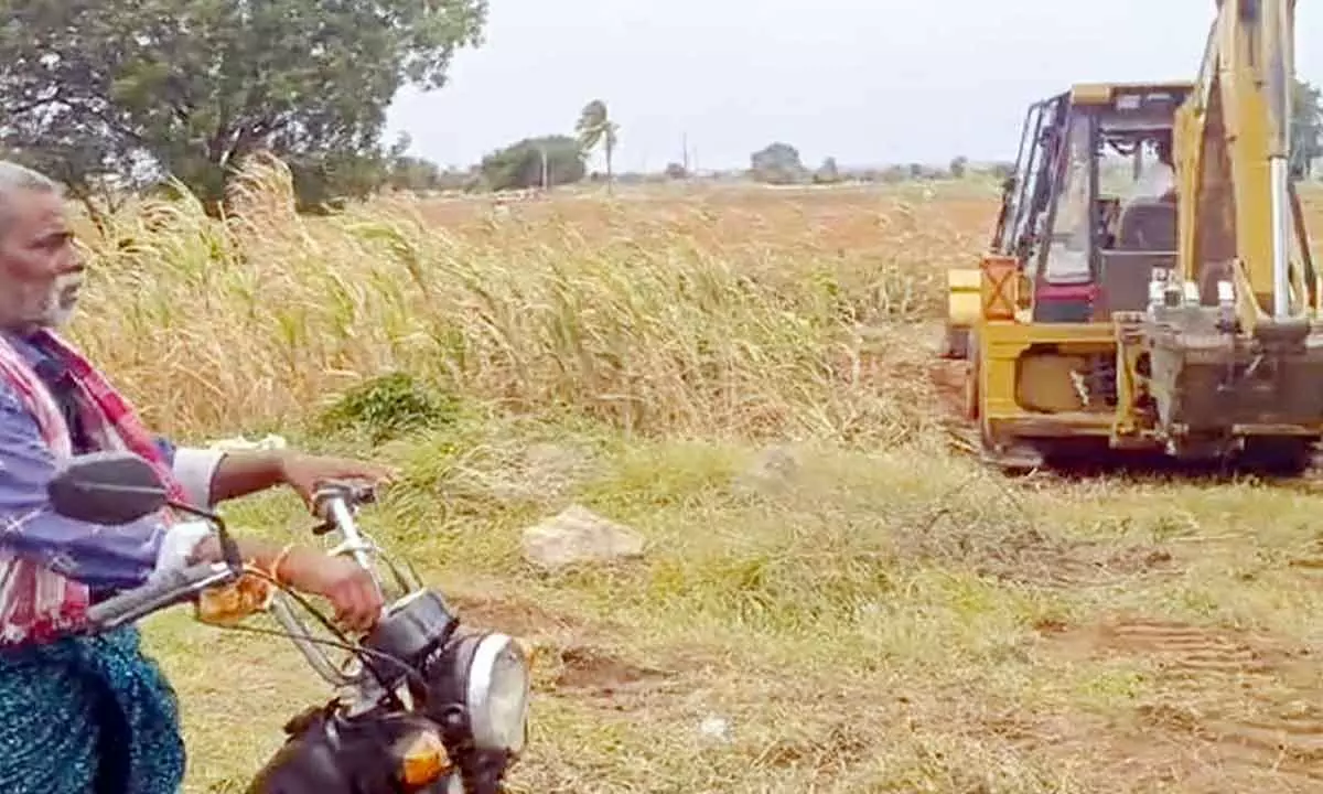 Compensation sought for farmer's destroyed crop