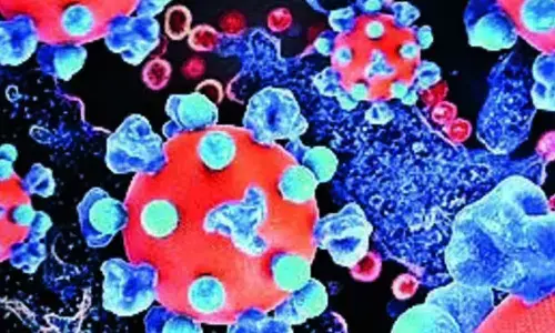Coronavirus In Andhra Pradesh