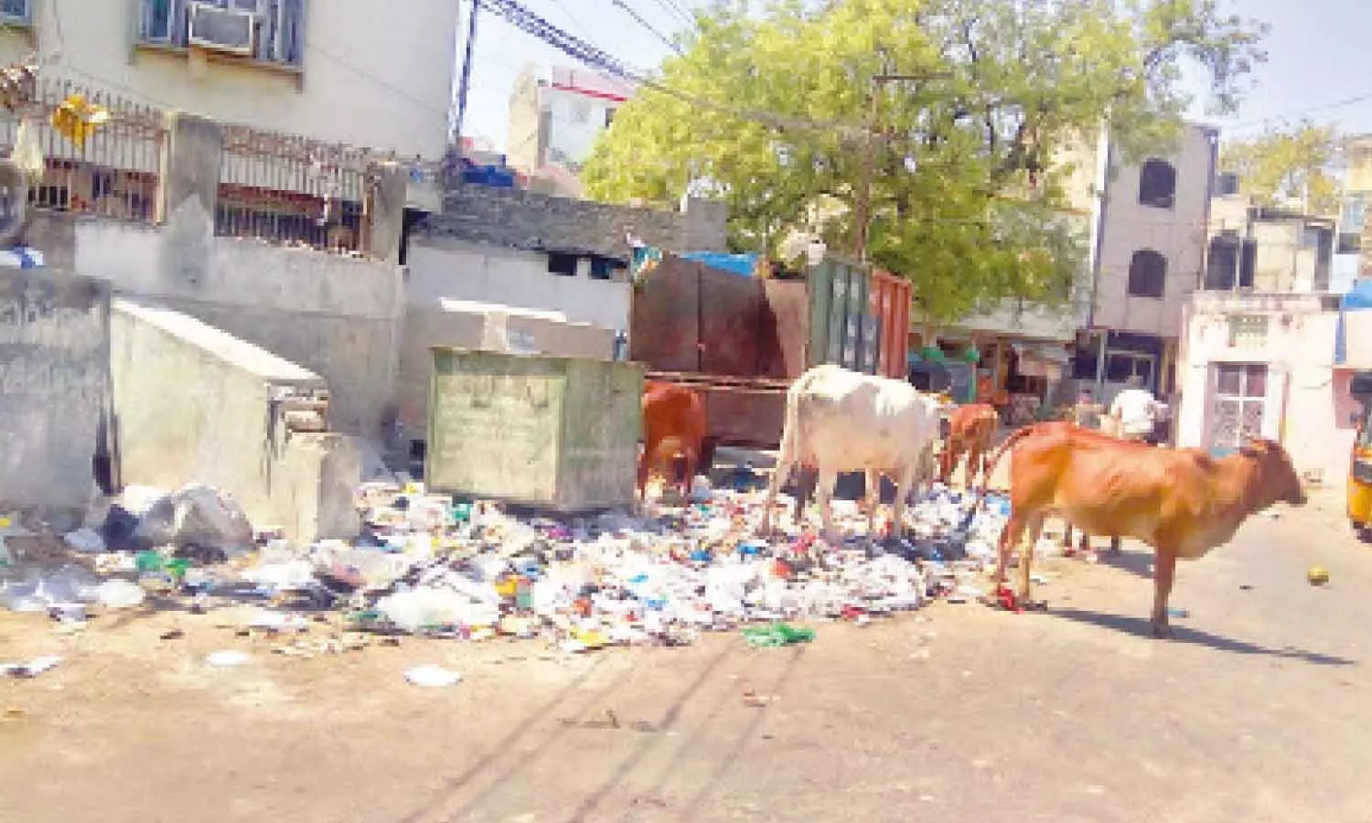 KMC cleans main roads, leaves interior Kurnool wards to rot