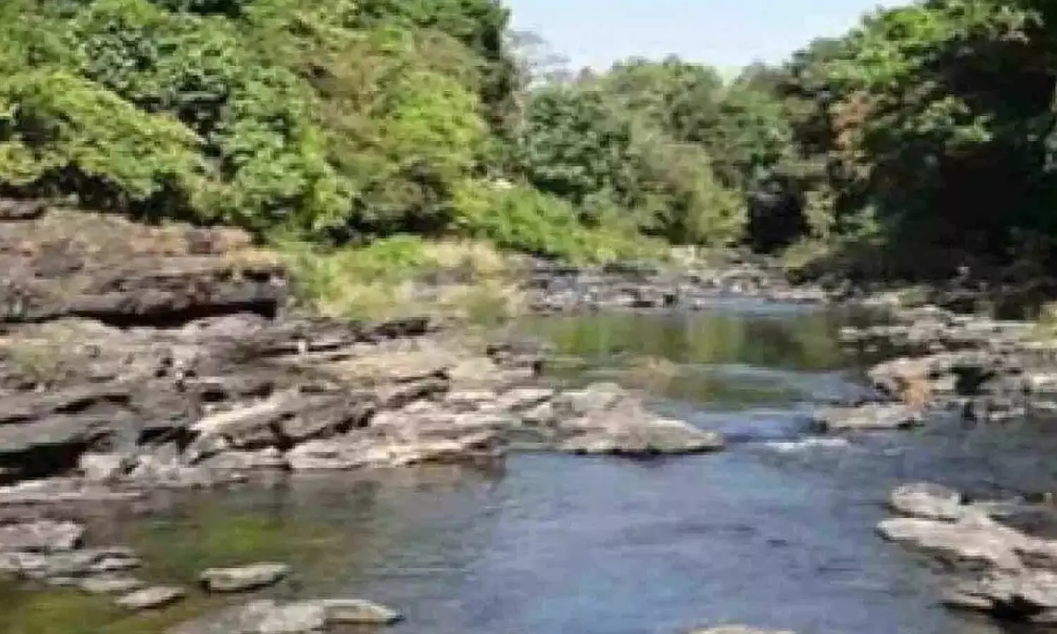 Mahadayi project hits another snag as Centre ties clearance to Supreme Court orders Mahadayi project hits another snag as Centre ties clearance to Supreme Court orders