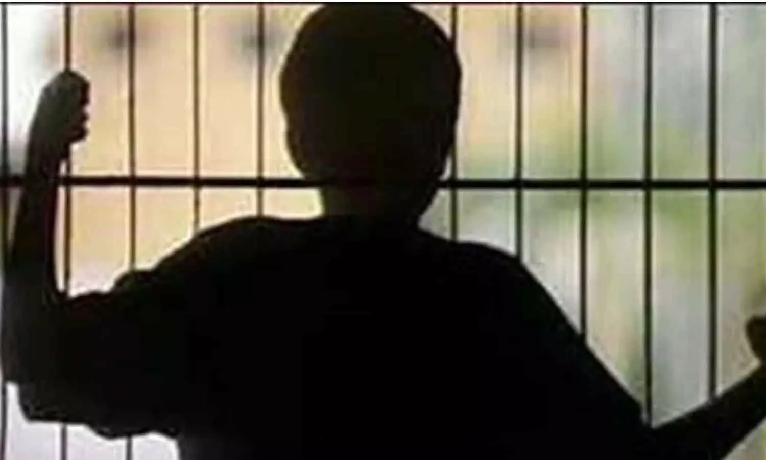 Juvenile offender sent to Special Home for two years