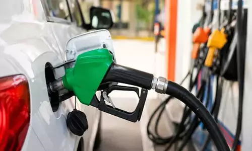E20 petrol delivers better acceleration, cleaner combustion with no evidence of engine damage: Govt tells Parliament