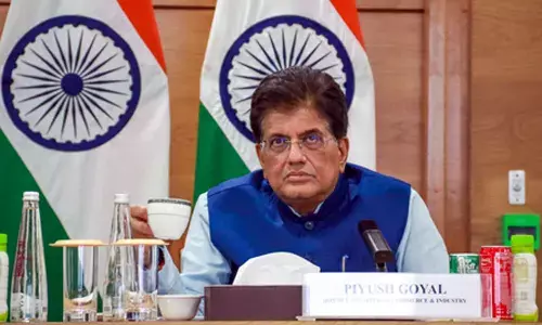 Union Commerce and Industry Minister Piyush Goyal