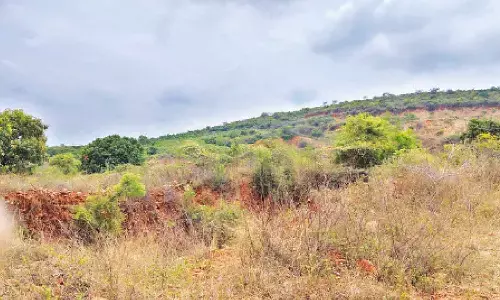 AP Government bets big on Kosala Nagaram to attract global investments