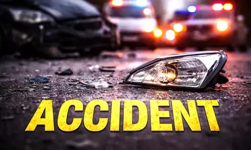 Image 22: Major killed in Jaisalmer after SUV collides with camel, two Lieutenants injured