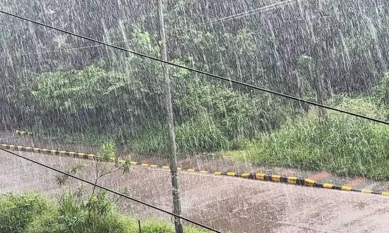 Heavy rain forces holiday for schools, colleges in Dakshina Kannada Heavy rain forces holiday for schools, colleges in Dakshina Kannada