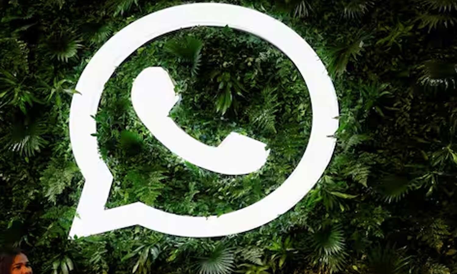 No Access to WhatsApp? Indian Users Report Account Reviews; Best Alternatives