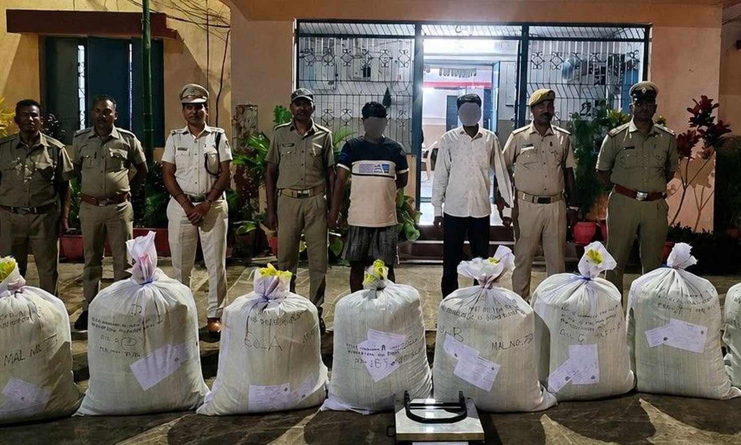 Police urges people to shun ganja cultivation