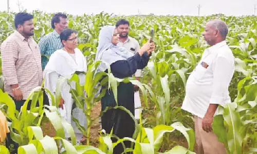Rythu Seva Kendra staff registering crop details on the e-Panta platform