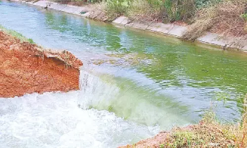 Irrigation water flows away after breach in Sagar canal