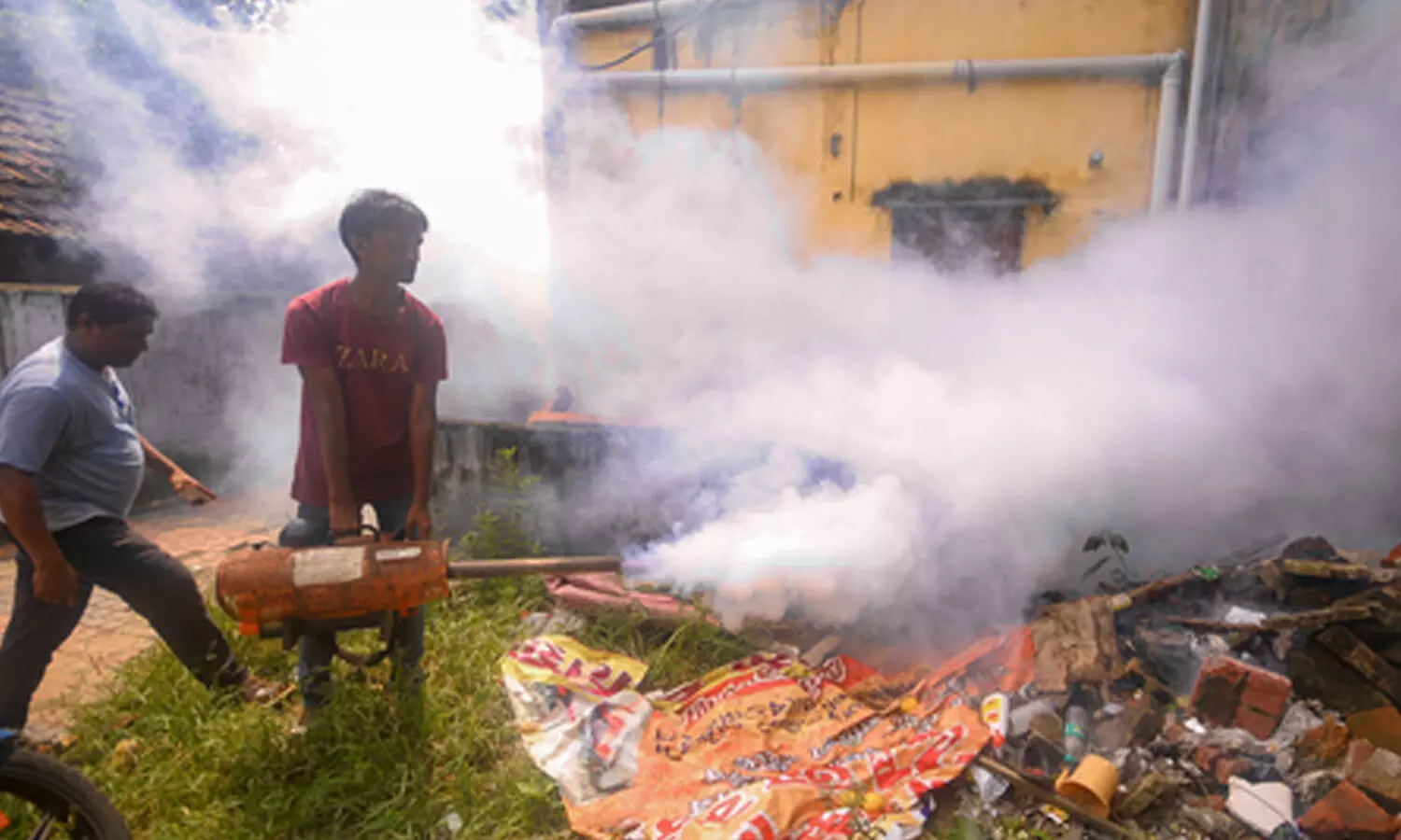 Dengue, swine flu cases surge in Tamil Nadu; doctors urge vigilance ahead of monsoon Dengue, swine flu cases surge in Tamil Nadu; doctors urge vigilance ahead of monsoon
