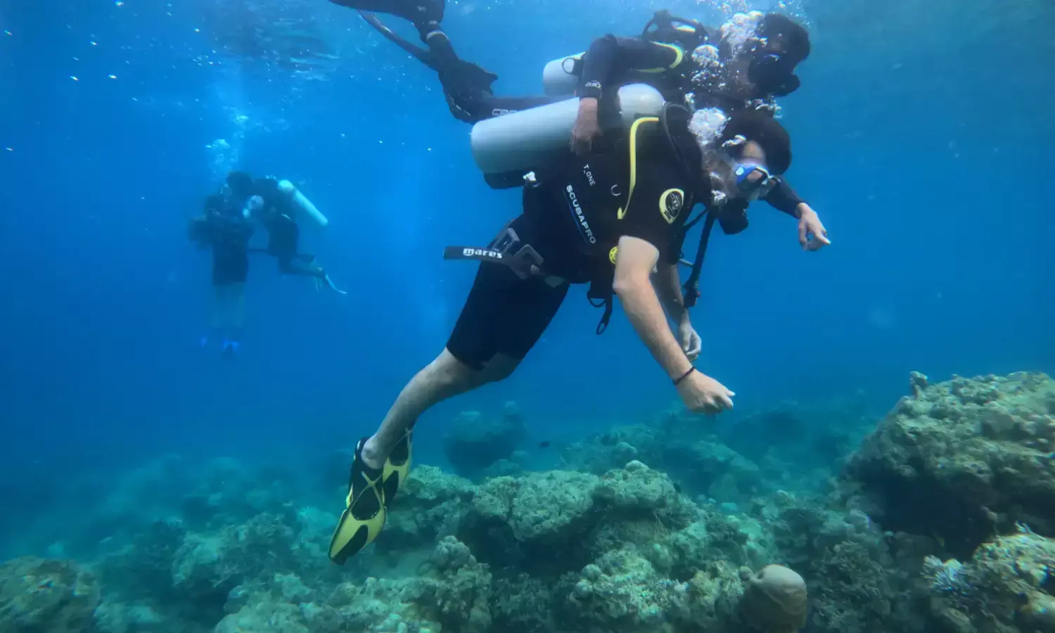Andamans Dive Season Reopens in October: What First-Time Divers in Havelock Should Know Andamans Dive Season Reopens in October: What First-Time Divers in Havelock Should Know