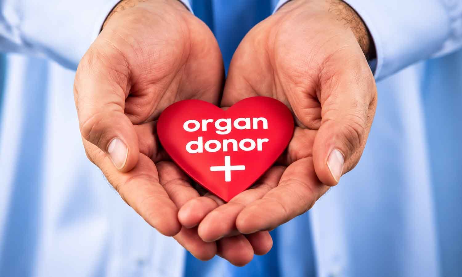 Brain-Dead Man's Organ Donation Gives Four Patients Hope