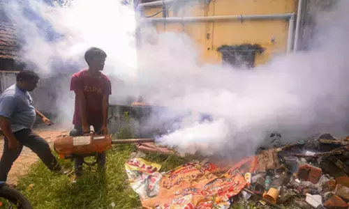 Dengue, swine flu cases surge in Tamil Nadu; doctors urge vigilance ahead of monsoon