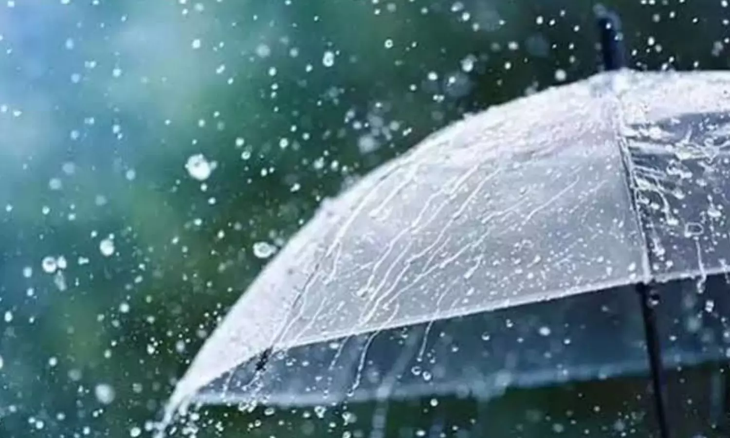Management Authority has issued an alert warning about rainfall in the coming three hours Management Authority has issued an alert warning about rainfall in the coming three hours
