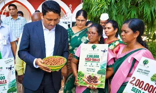 Collector Dr G Lakshmisha examines seed balls along with representatives of One  Earth–One Life organisation at the Collectorate in Vijayawada on Monday