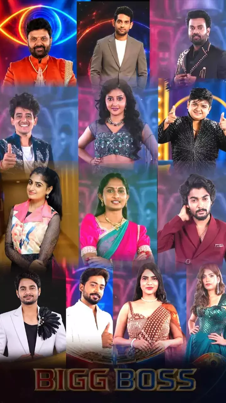 Take A Look At Bigg Boss 10 Telugu Contestants Remunerations Take A Look At Bigg Boss 10 Telugu Contestants Remunerations