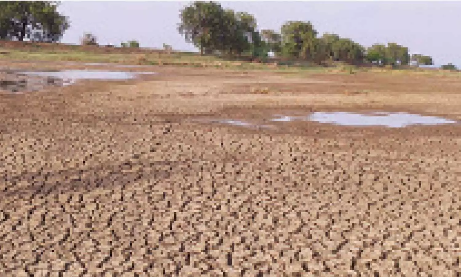 Low water levels in Tungabhadra signal deepening crisis in Kurnool Low water levels in Tungabhadra signal deepening crisis in Kurnool