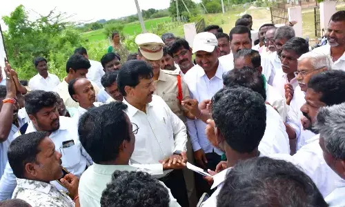 Erratic power supply killing our crops: Farmers
