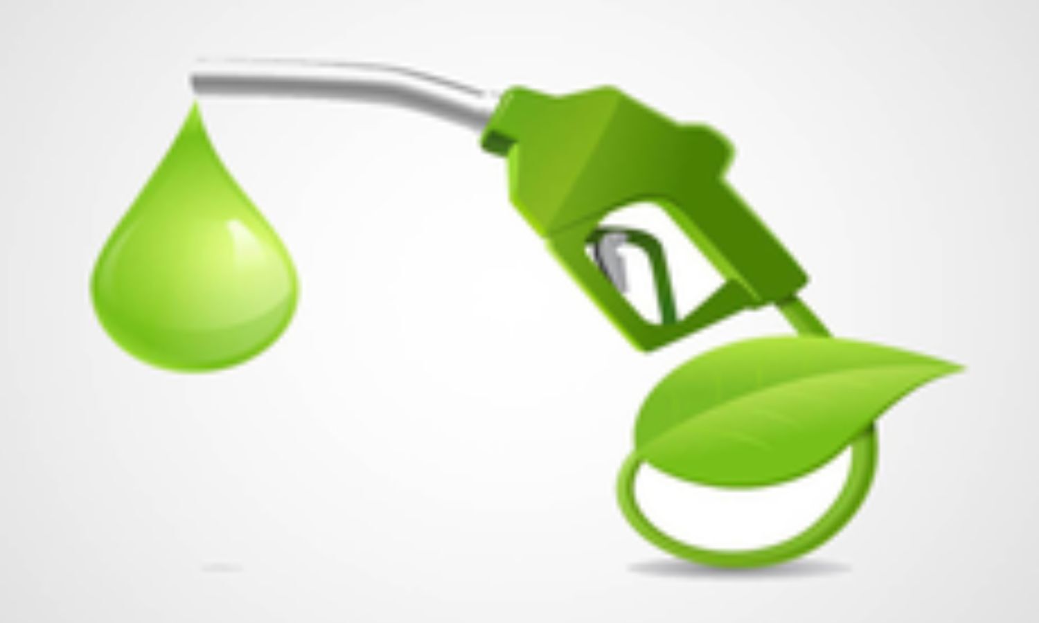 India Ethanol Supplies Reach 895 Crore Litres by August