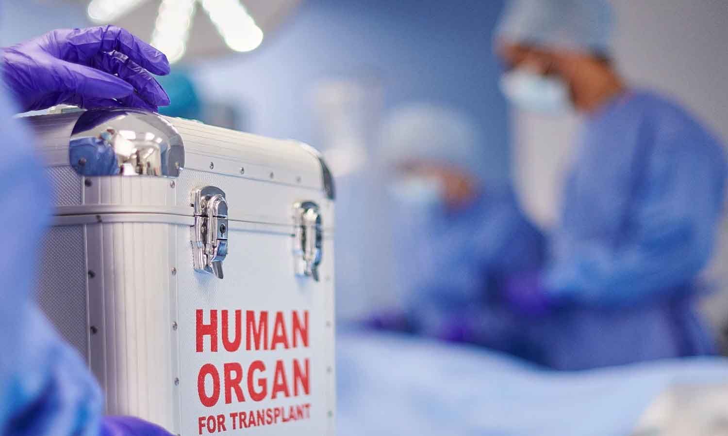Brain-Dead Accident Victim’s Family Donates Organs, Helping Five Patients