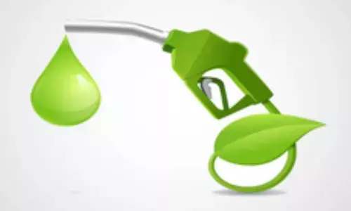 India supplied 895 crore litres of ethanol by the end of August under the Ethanol Supply Year