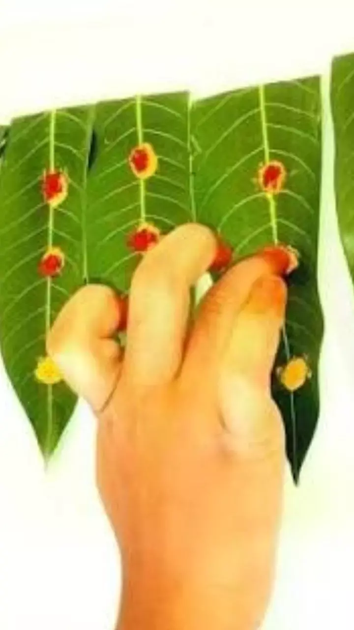 Vinayaka Chaturthi -Mango Thoranam Designs Vinayaka Chaturthi -Mango Thoranam Designs