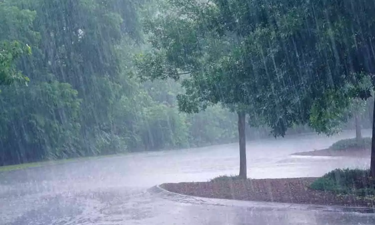 AP to receive rains for two days amid low pressure AP to receive rains for two days amid low pressure