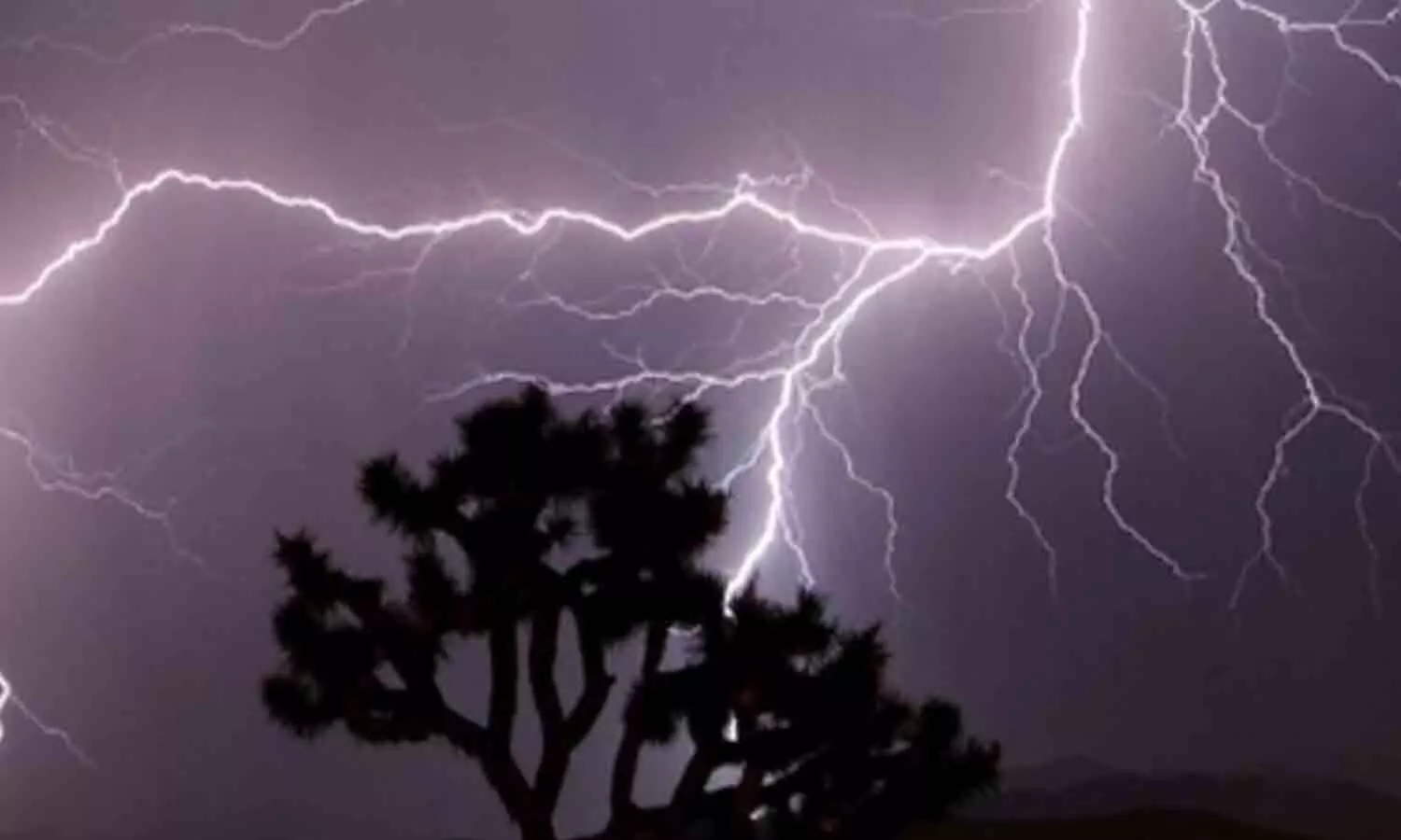 Two die of lightning as heavy rain lashes parts of Andhra Pradesh Two die of lightning as heavy rain lashes parts of Andhra Pradesh