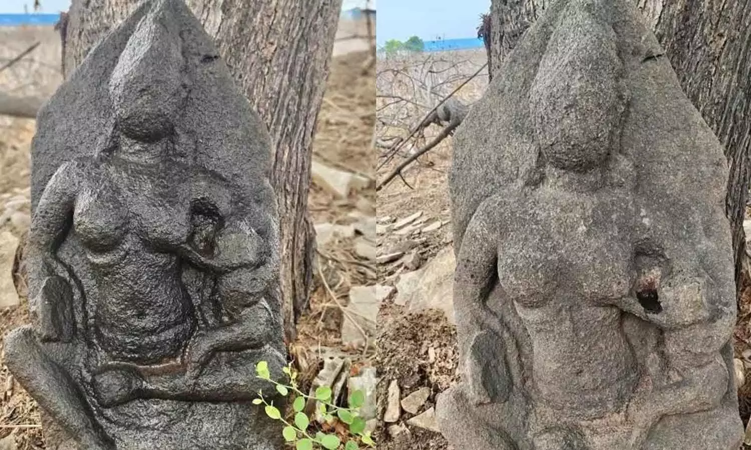 Rare sculpture of Bala Ganesha discovered in Adilabad district Rare sculpture of Bala Ganesha discovered in Adilabad district