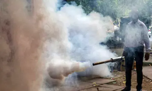 29 municipalities, 278 panchayats identified as dengue hotspots in Bengal