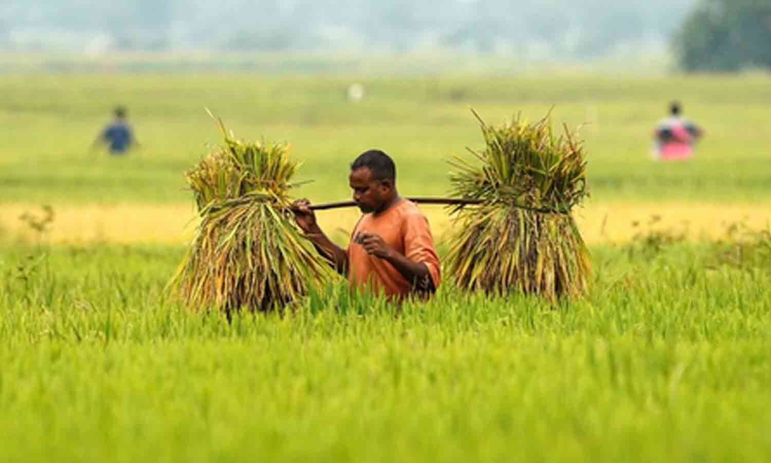 India's Regenerative Agriculture Gains Momentum to Restore Soil, Build Resilience