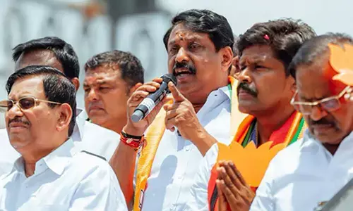 Tamil Nadu BJP seeks removal of CM Vijay-like Vinayagar idol in Chennai; demands arrests